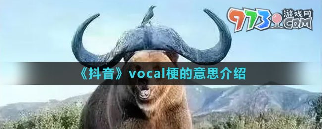 《抖音》vocal梗的意思介绍