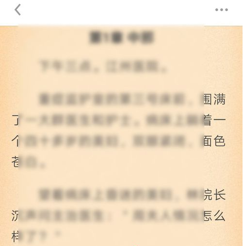 《疯读小说》设置翻页教程