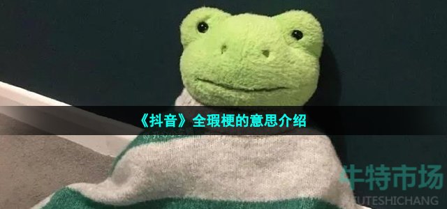 《抖音》全瑕梗的意思介绍