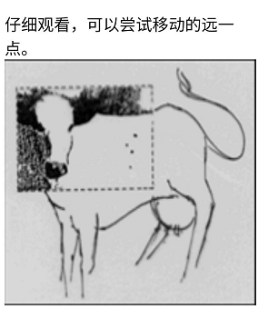 《Crimaster犯罪大师》8月7日每日任务答案