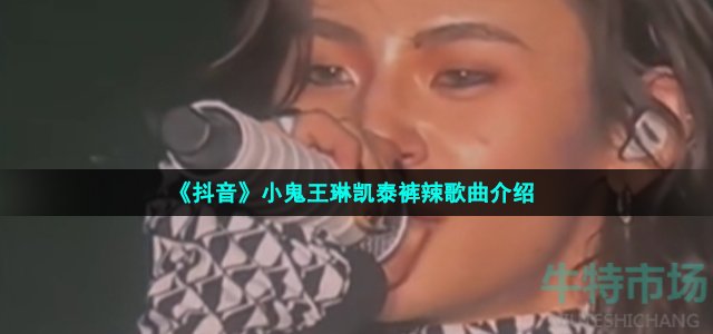 《抖音》小鬼王琳凯泰裤辣歌曲介绍