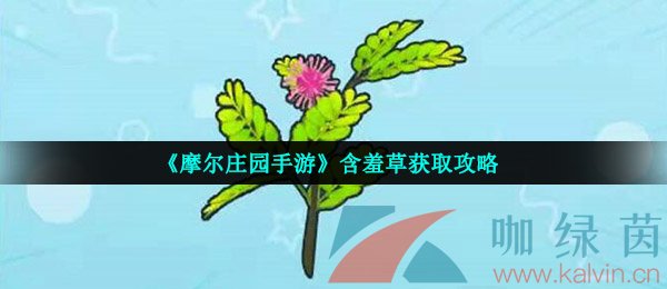 《摩尔庄园手游》含羞草获取攻略