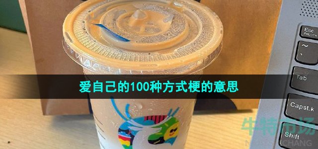 《抖音》爱自己的100种方式梗的意思介绍