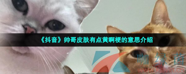 《抖音》帅哥皮肤有点黄啊梗的意思介绍