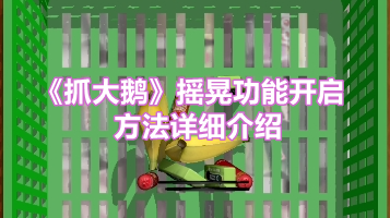 《抓大鹅》摇晃功能开启方法详细介绍