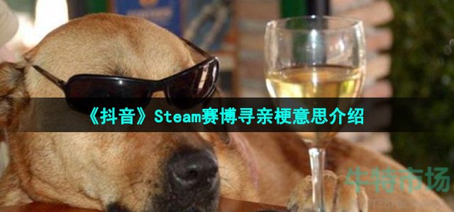 《抖音》Steam赛博寻亲梗意思介绍