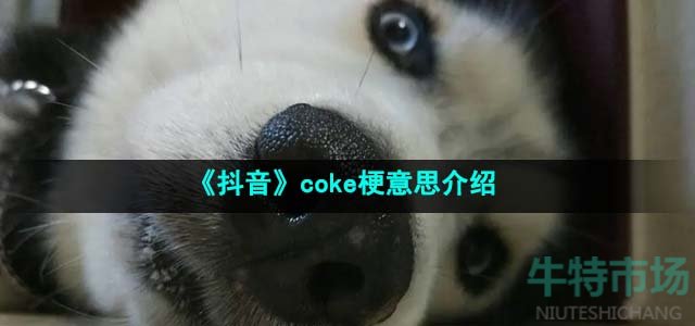 《抖音》coke梗意思介绍