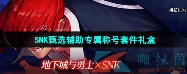 《DNF》2024五一SNK联动臻选礼包辅助专属称号套件礼盒介绍