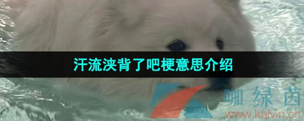 《抖音》汗流浃背了吧梗意思介绍