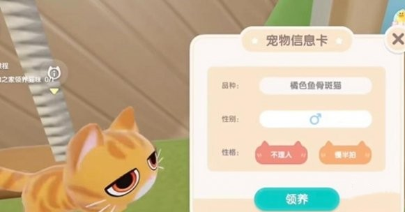 《心动小镇》怎么养宠物猫